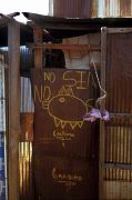 Cochino_ 05